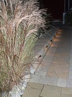 Landscape Lighting Image